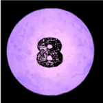 Chapter 8