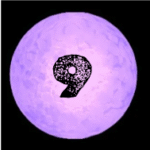 Chapter 9
